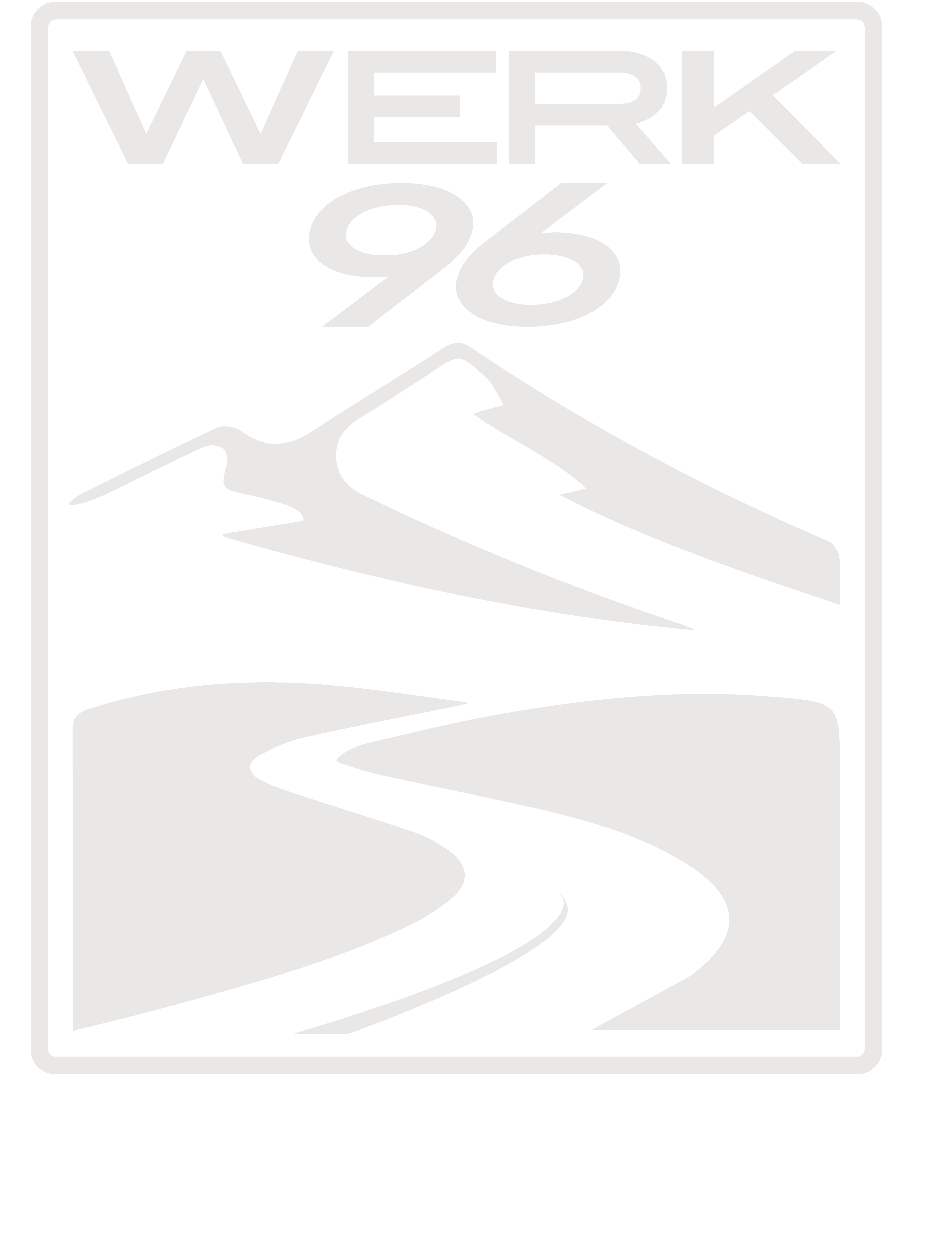 WERK 96 The 996 Specialist Conversion Service Performance Tuning werk-96-the-996-specialist-conversion-service-performance-tuning